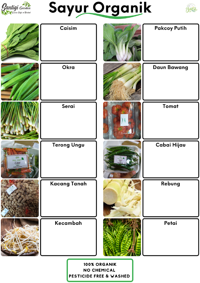 Menu Photo 10