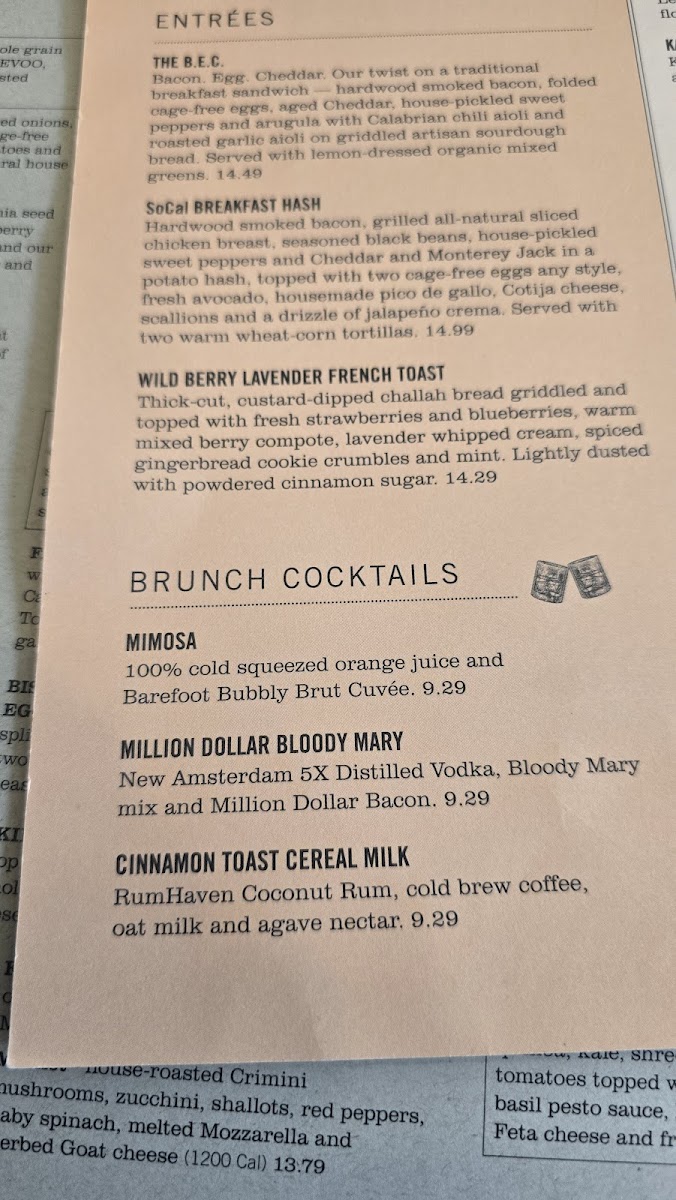 Menu Photo 4