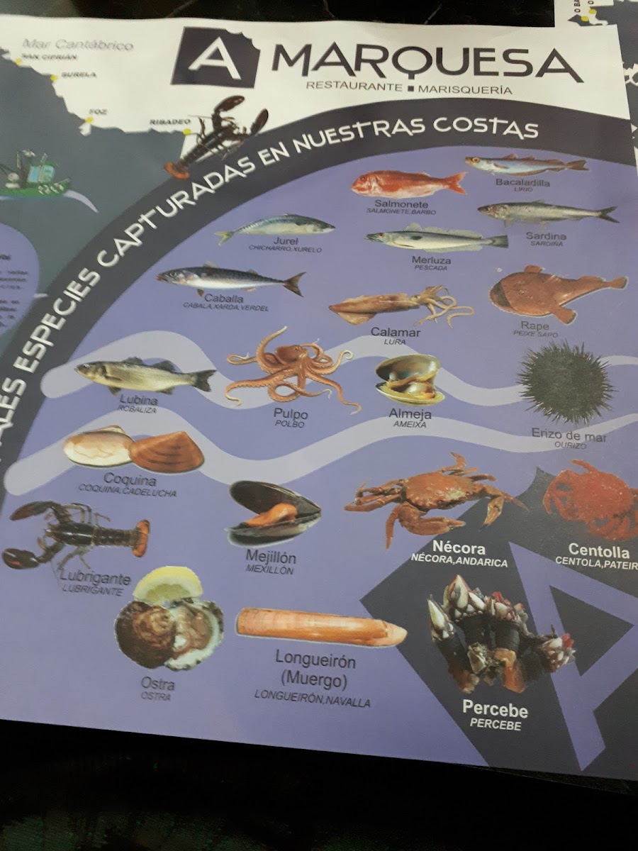 Menu Photo 10